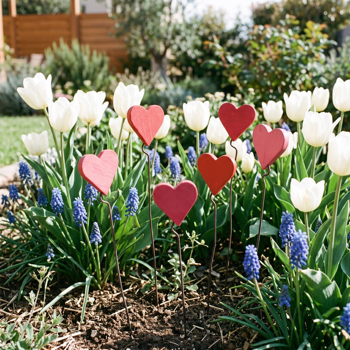 Cuore piccolo in legno – aiuola con tulipani bianchi e muscari
