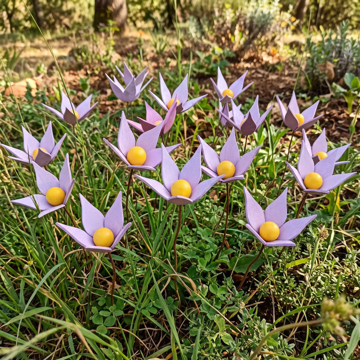 Violette in legno - foto 2