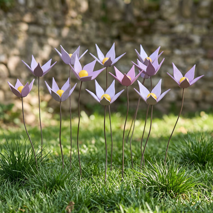 Violette in legno - foto 3