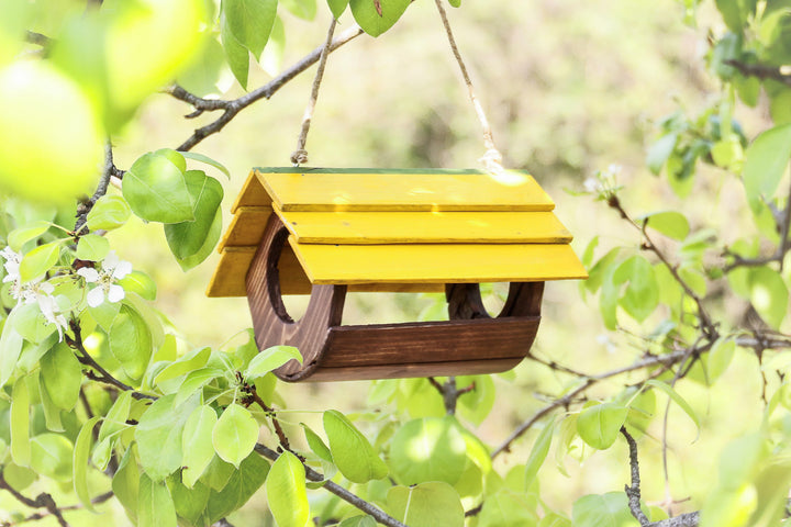 Mangiatoia Botticella Treehood - foto aggiuntiva 5