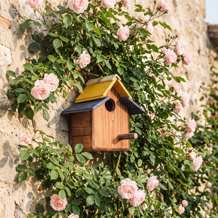 Casetta Passeri Treehood in legno fatto a mano – foto 2