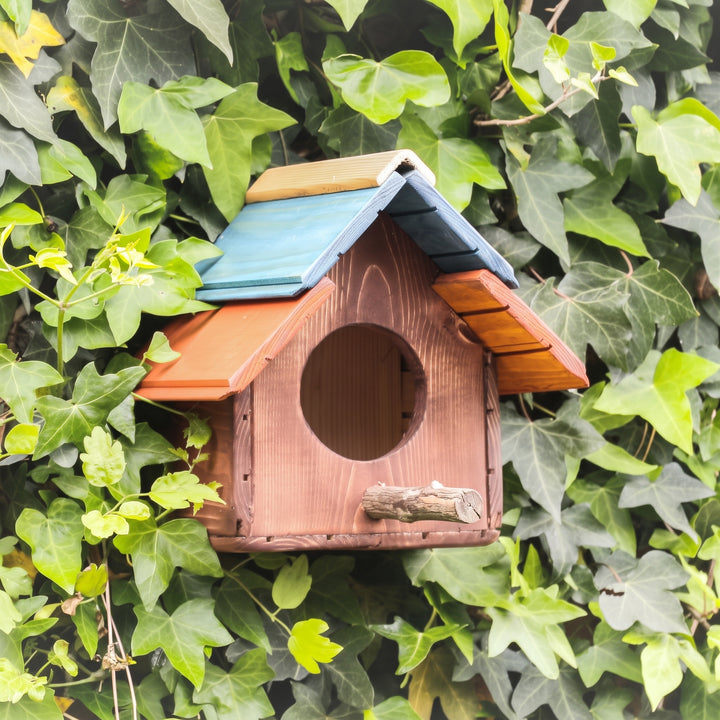 Casetta Pettirossi Treehood in legno fatto a mano – foto 3