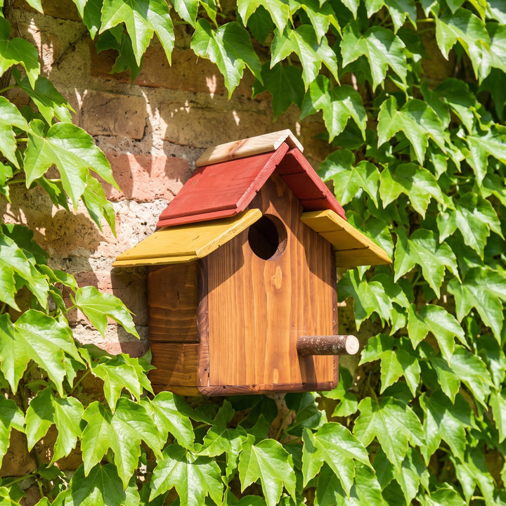 Casetta Passeri Treehood in legno fatto a mano – foto 3