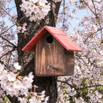 Casetta Cincia Treehood in legno fatto a mano – foto 3