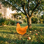 Gallina Treehood in legno fatto a mano – foto 5