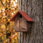 Casetta Cincia Treehood in legno fatto a mano – foto 4