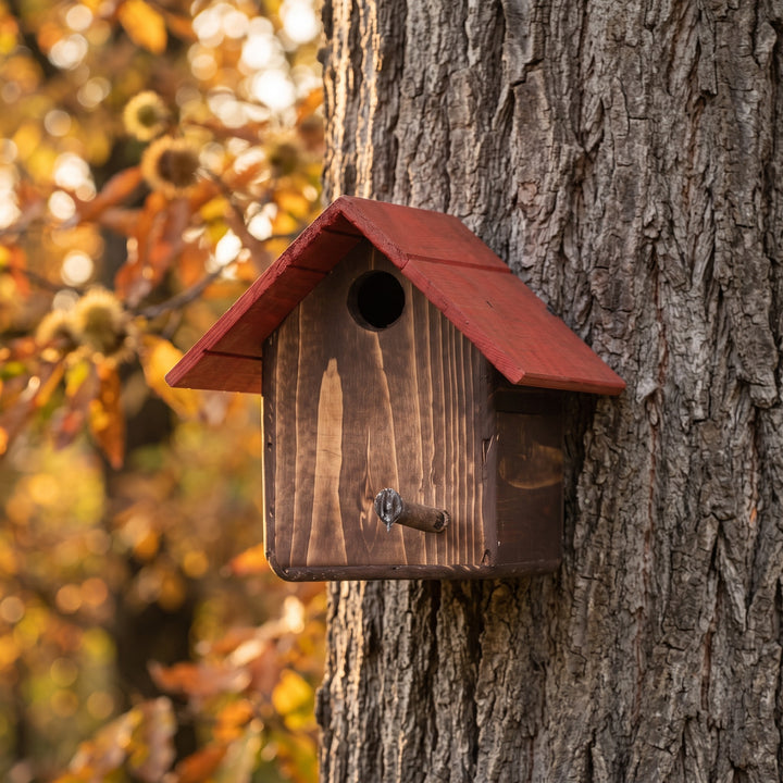 Casetta Cincia Treehood in legno fatto a mano – foto 4
