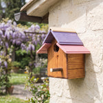 Casetta Passeri Treehood in legno fatto a mano – foto 6