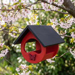 Mangiatoia a farfalla in legno TreeHood