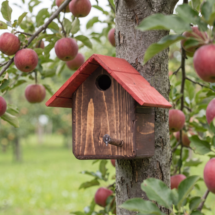 Casetta Cincia Treehood in legno fatto a mano – foto 5
