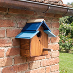 Casetta Passeri Treehood in legno fatto a mano – foto 9