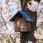 Casetta Cincia Treehood in legno fatto a mano – foto 7