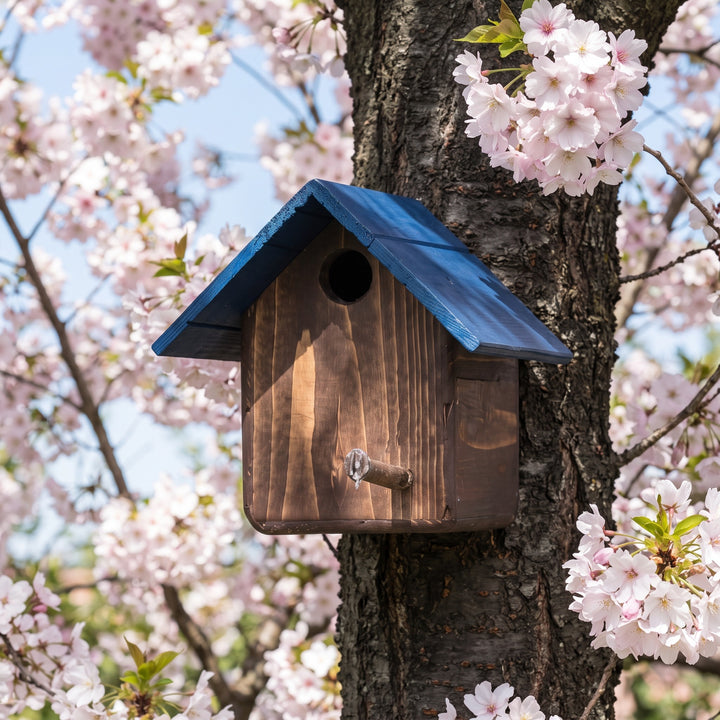 Casetta Cincia Treehood in legno fatto a mano – foto 7