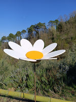 Margherita gigante Treehood - immagine galleria 2