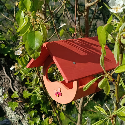 Mangiatoia farfalla - anteprima home Treehood