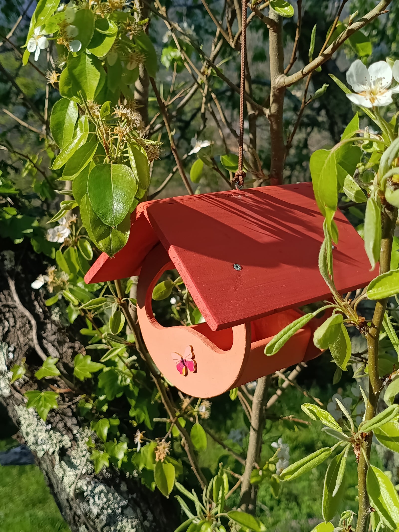 Mangiatoia farfalla Treehood - immagine galleria 1