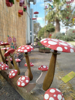 Funghi Piccoli Treehood - immagine galleria 2