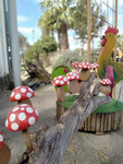 Funghi