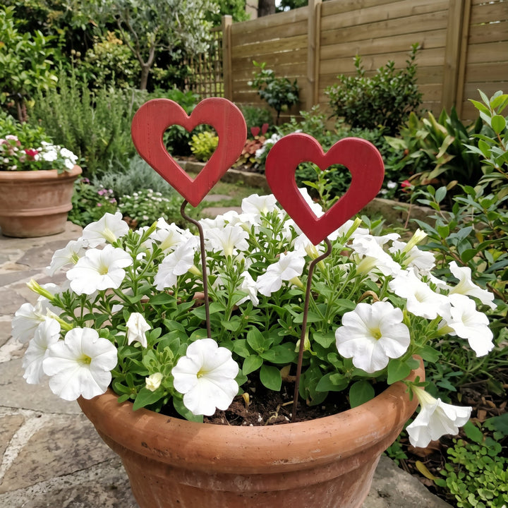 Cuore grande in legno – vaso di terracotta con petunie bianche