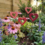 Cuore grande in legno – aiuola con echinacea e salvia