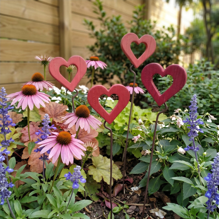 Cuore grande in legno – aiuola con echinacea e salvia