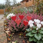 Cuore piccolo in legno – bordo con erica e ciclamini