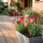 Cuore piccolo in legno – vaso di zinco con lavanda sul terrazzo