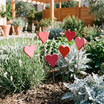 Cuore piccolo in legno – aiuola con lavanda