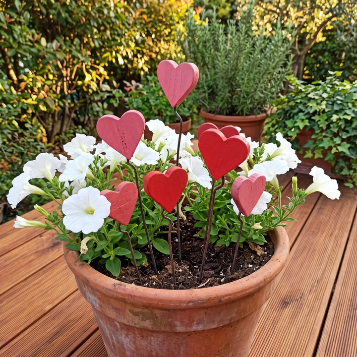 Cuore piccolo in legno – vaso di terracotta con petunie bianche