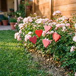 Cuore piccolo in legno – bordo del prato con rose rosa