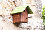 Casetta Cincia Treehood - immagine galleria 5