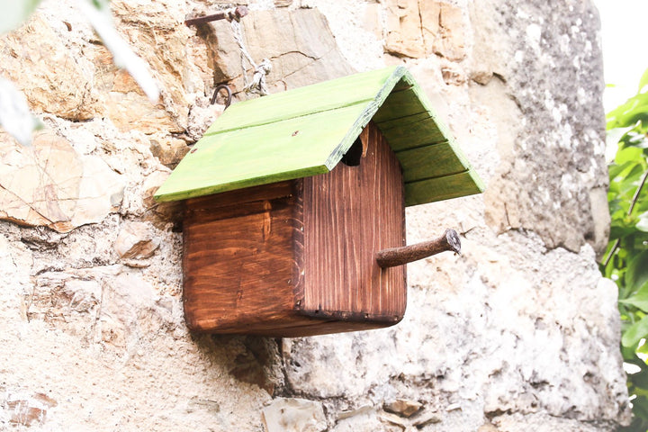 Casetta Cincia Treehood - foto aggiuntiva 6
