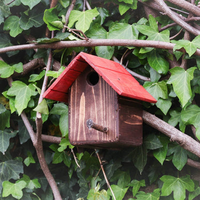 Casetta Cincia - anteprima home Treehood