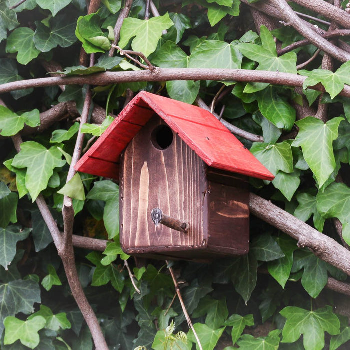 Casetta Cincia - anteprima collezione Treehood