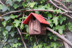 Casetta Cincia - anteprima Casette e nidi Treehood
