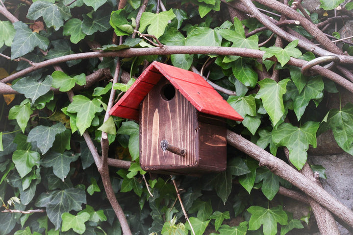 Casetta Cincia Treehood - prodotto artigianale in legno da giardino