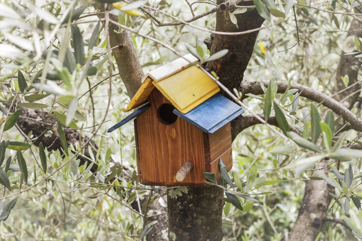 Casetta Passeri Treehood - foto aggiuntiva 5