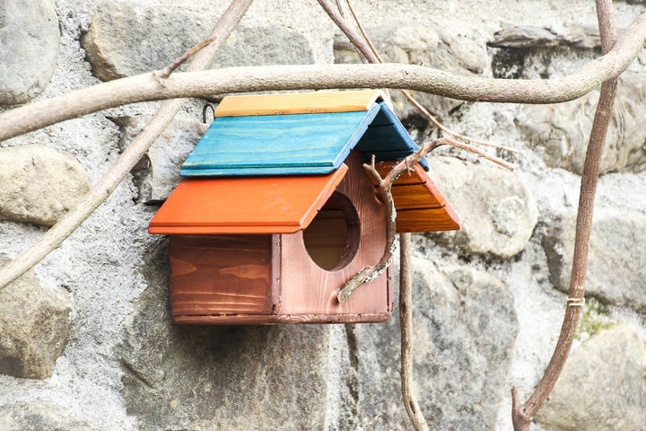 Casetta Pettirossi Treehood - foto aggiuntiva 4