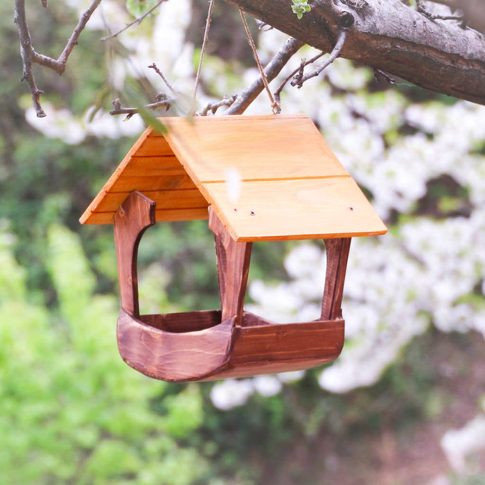 Mangiatoia grande - anteprima collezione Treehood