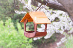 Mangiatoia grande Treehood - immagine galleria 1