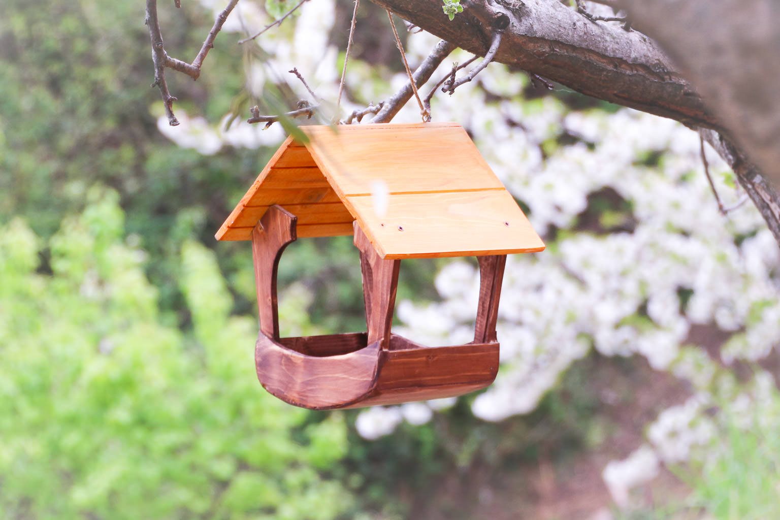 Mangiatoia grande Treehood - immagine galleria 1