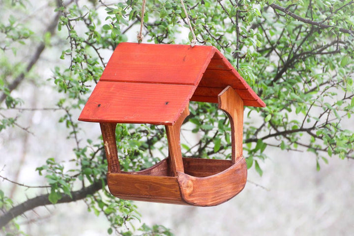 Mangiatoia grande Treehood - vista completa in giardino