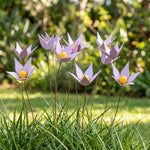 Violette in legno - foto 1