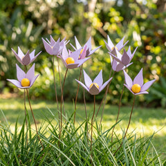 Violette in legno - foto 1
