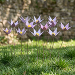 Violette in legno - foto 3