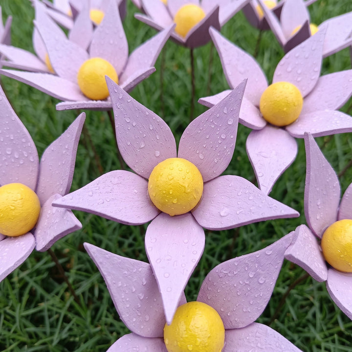 Violette in legno - foto 7