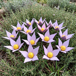 Violette in legno - foto 10