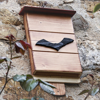 BatBox - anteprima home Treehood