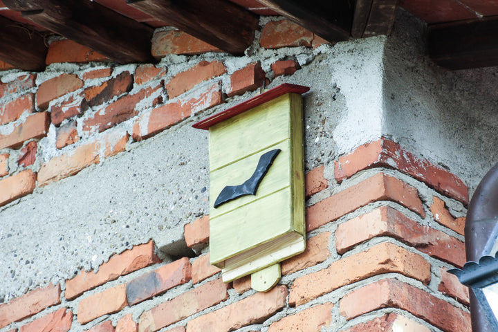 BatBox Treehood - foto aggiuntiva 4