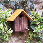 Casetta Cincia Treehood - prodotto artigianale in legno